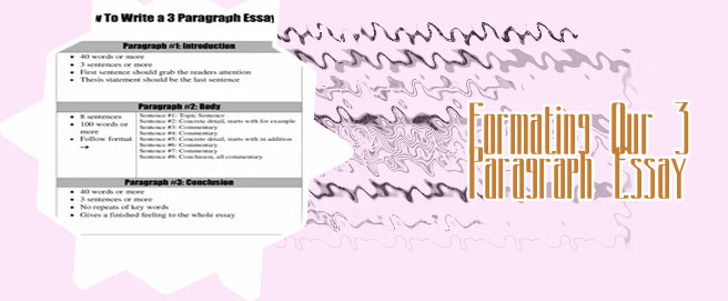 3 paragraph essay