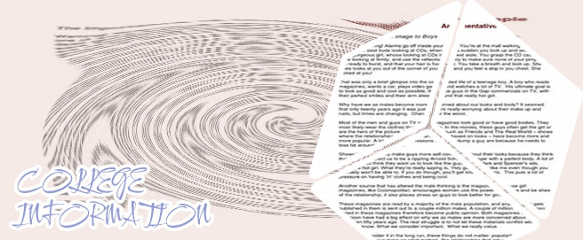Argumentative essay format