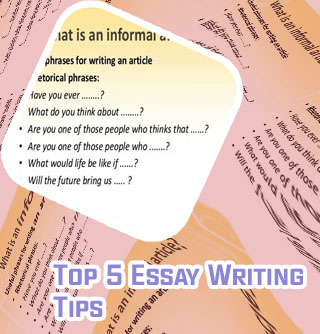 Article essay writing