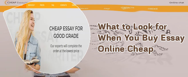 Buy essay cheap