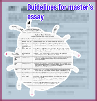 College style essay format
