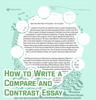 Compare contrast essay introduction
