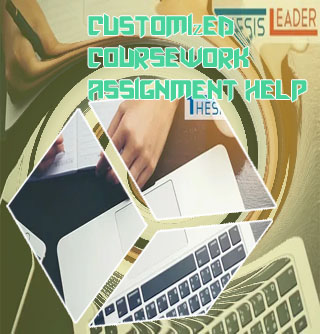 Custom coursework help
