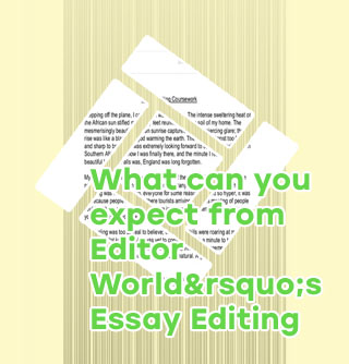English essay editing services