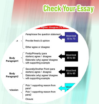 Essay typer help