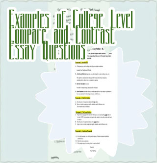 Example of comparison paragraph essays