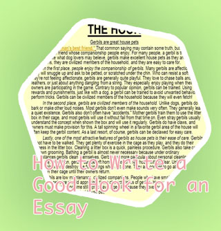 Good hooks for persuasive essays