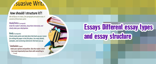 Persuasive essay introduction structure