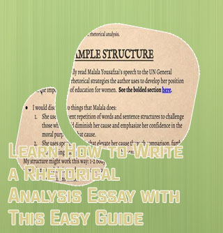 Rhetorical speech analysis essay example