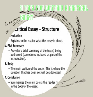 The critical essay