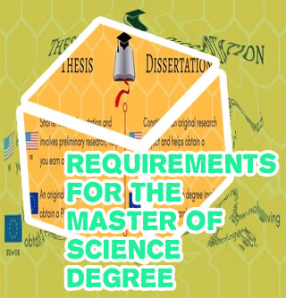 Writing thesis masters degree